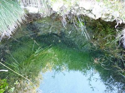 Fuente del Puerco - imagen 2