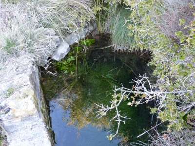 Fuente del Puerco - imagen 3