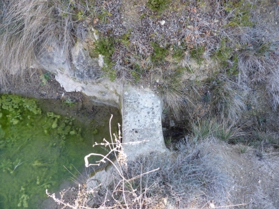 Fuente del Puerco - imagen 5