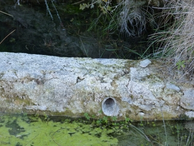 Fuente del Puerco - imagen 8