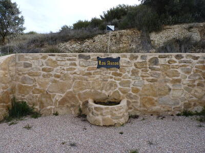Fuente de los Asnos - imagen 3