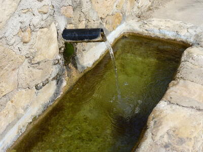 Fuente de Cayo y Leonisa - imagen 5