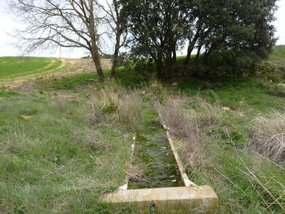 Fuente del Estepar - imagen 1