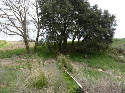 Fuente del Estepar - imagen 2