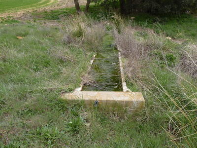 Fuente del Estepar - imagen 3