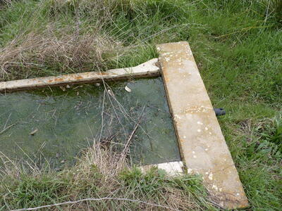 Fuente del Estepar - imagen 4