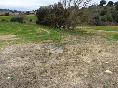 Fuente del Estepar - imagen 6