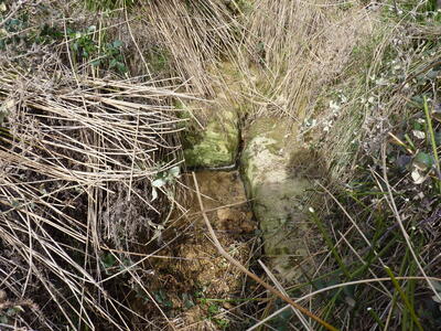 Fuente Pérez - imagen 5