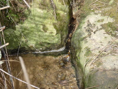 Fuente Pérez - imagen 6