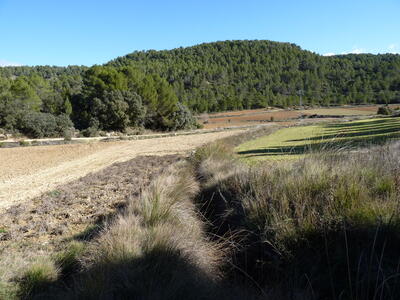 Los Hontanares I - imagen 6