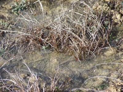 Los Hontanares III - imagen 1
