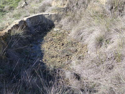 Los Hontanares III - imagen 2
