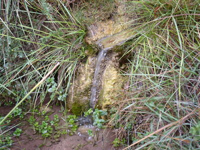 Fuente de Jesús del Puerto - imagen 3