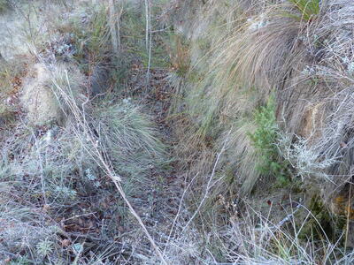 Poza del Hontarrón - imagen 2