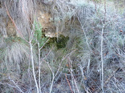 Poza del Hontarrón - imagen 5
