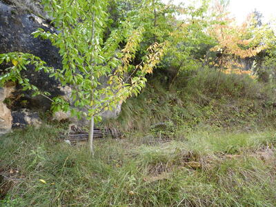 Poza del Tío Blanco II - imagen 5