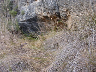 Fuente del Tío Teodoro - imagen 2