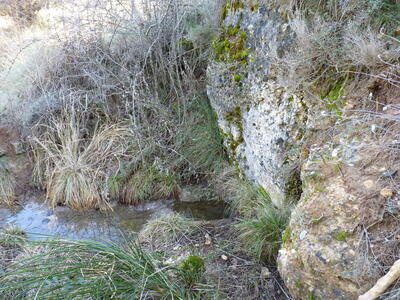 Fuente de las Vacarizas - imagen 1