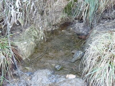Fuente de las Vacarizas - imagen 2