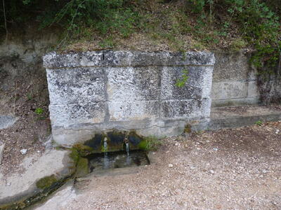 Fuente Pinosa - imagen 1