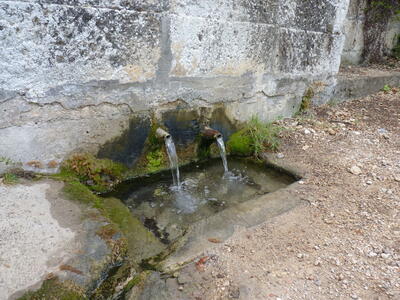 Fuente Pinosa - imagen 2