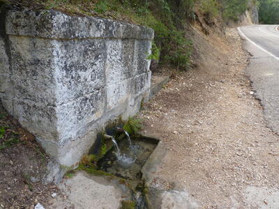Fuente Pinosa - imagen 3