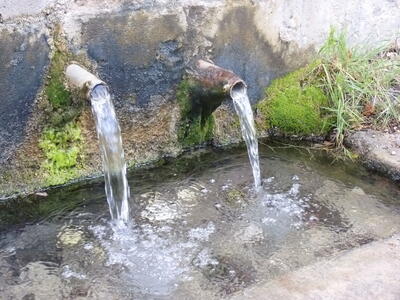 Fuente Pinosa - imagen 4