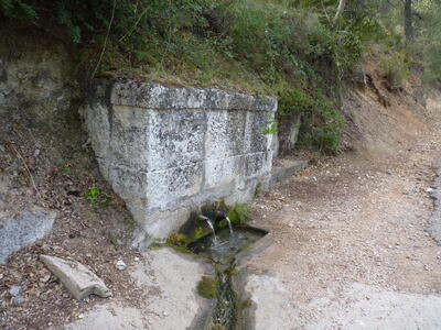 Fuente Pinosa - imagen 5