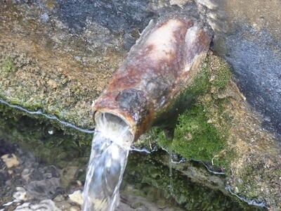 Fuente Pinosa - imagen 6