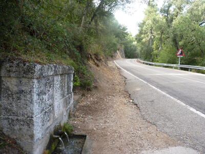 Fuente Pinosa - imagen 8
