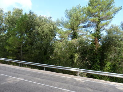Fuente Pinosa - imagen 9