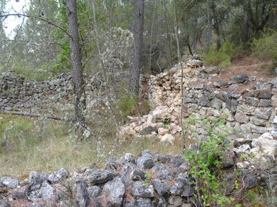 Fuente del Tejar - imagen 6
