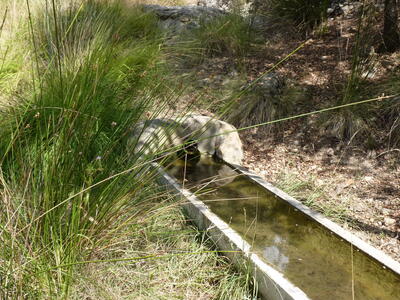 Fuente la Víbora I - imagen 2