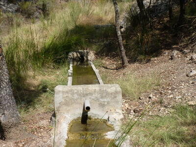 Fuente la Víbora I - imagen 3