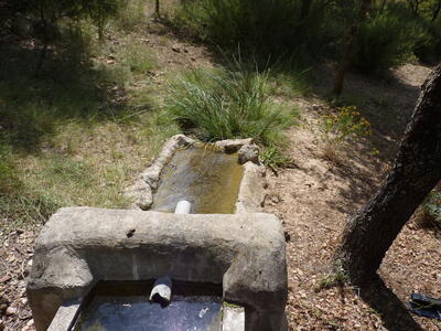 Fuente la Víbora I - imagen 5