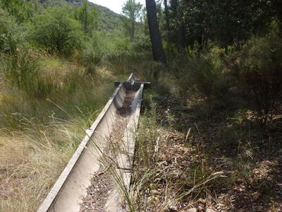 Fuente la Víbora II - imagen 2