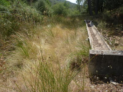Fuente la Víbora II - imagen 4
