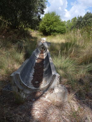 Fuente la Víbora II - imagen 6
