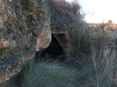 Fuente del Cuervo - imagen 2