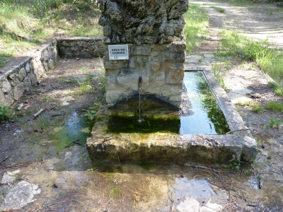 Fuente de la Casa de la Pradera - imagen 5