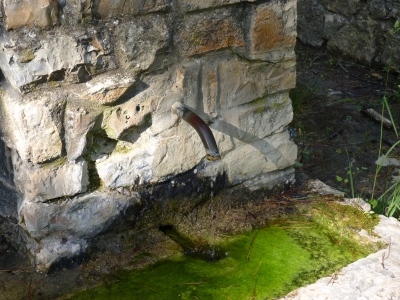 Fuente de la Casa de la Pradera - imagen 7