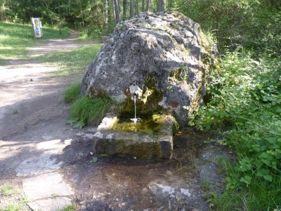 Fuente de la Casa de la Pradera II - imagen 2