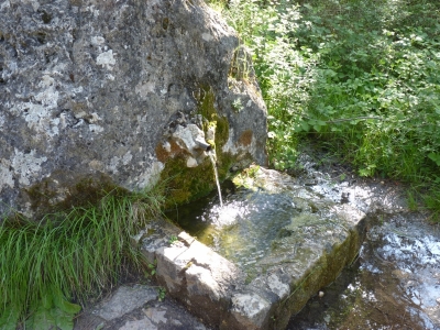 Fuente de la Casa de la Pradera II - imagen 3