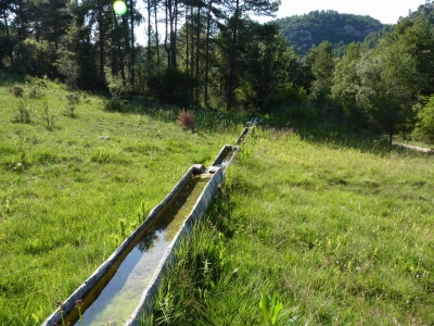 Fuente la Juanlabrá - imagen 3