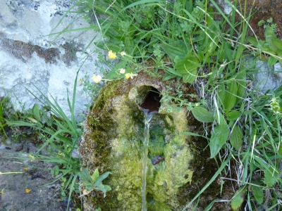Fuente del Oso - imagen 2
