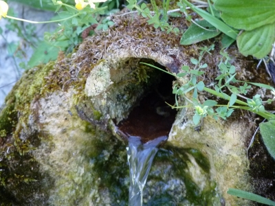 Fuente del Oso - imagen 3