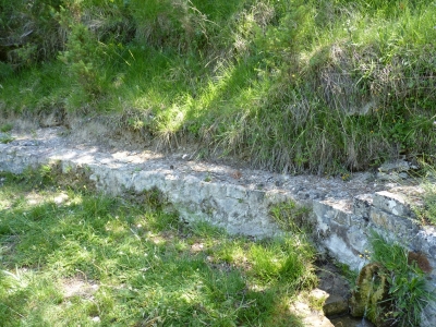 Fuente del Oso - imagen 5