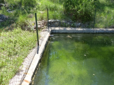 Fuente del Oso - imagen 6