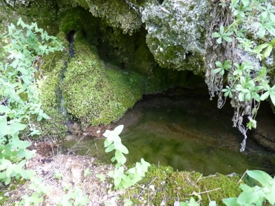 Fuente del Pozo de las Truchas - imagen 1