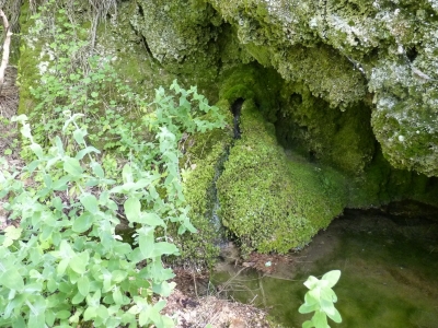 Fuente del Pozo de las Truchas - imagen 2